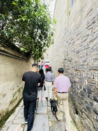 【黨史學(xué)習(xí)教育】我院組織民主黨派人士開展黨史學(xué)習(xí)教育實(shí)踐活動(dòng)(圖2)