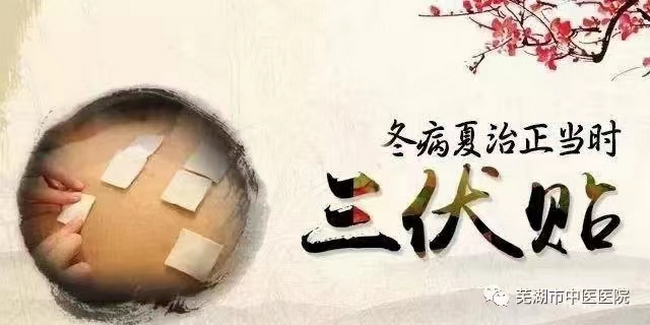 蕪湖市中醫(yī)醫(yī)院三伏貼來啦！冬病夏治的法寶(圖1)