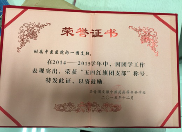 院內科一團支部榮獲“校2014-2015學年五四紅旗團支部“榮譽稱號(圖2)