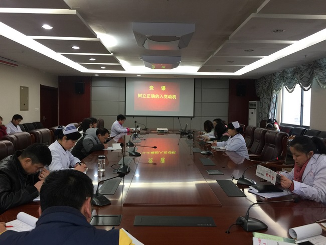 行政片黨總支召開“兩學(xué)一做”學(xué)習(xí)教育專題研討會(圖1)