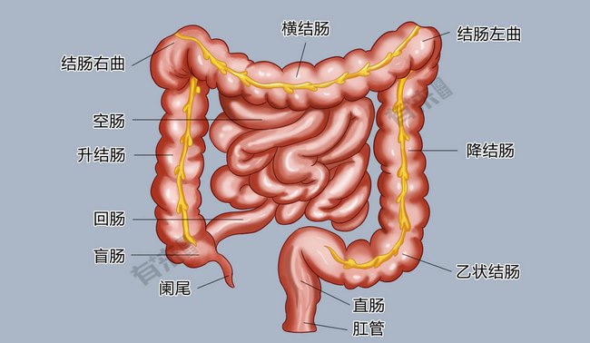 圖片1 (復制).jpg