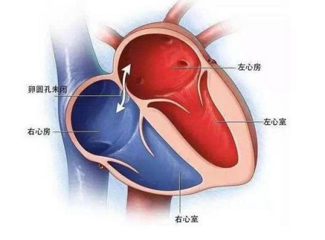 圖片4 (復制).jpg